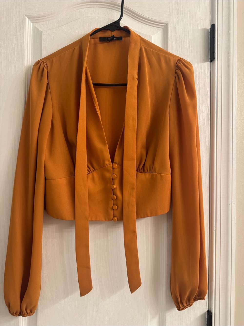 Forever 21 Rust Tie-Neck Long Sleeve Blouse